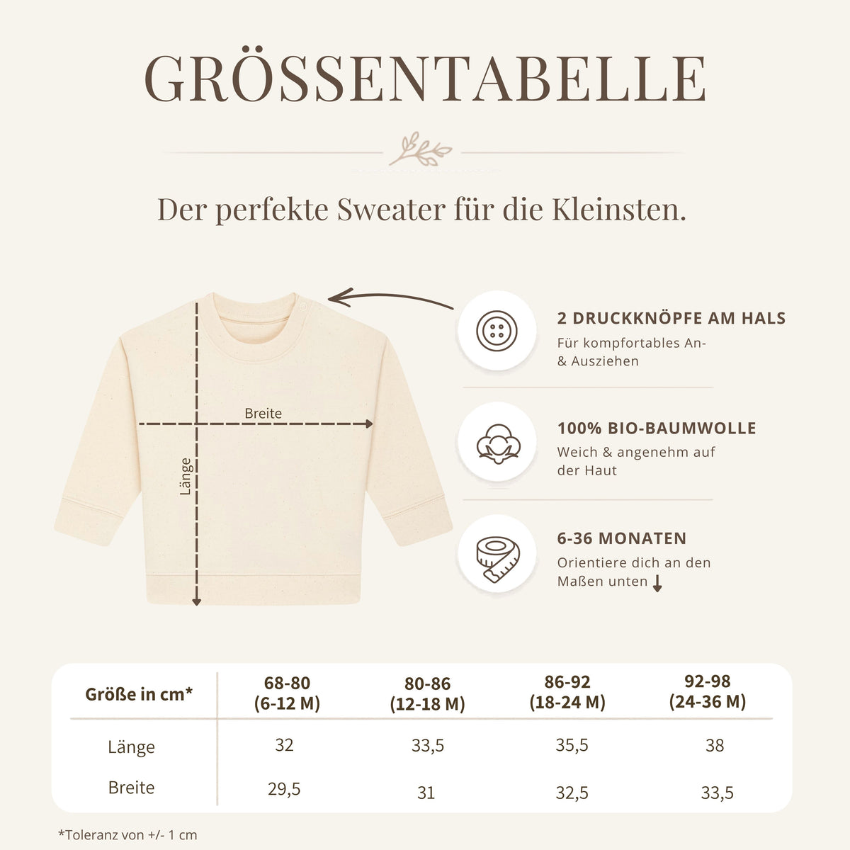 Babyccino Club - BABY SWEATER aus Bio-Baumwolle
